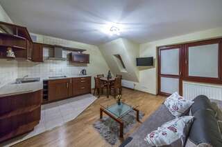 Апартаменты Apartament Meteor Закопане Апартаменты с балконом-3